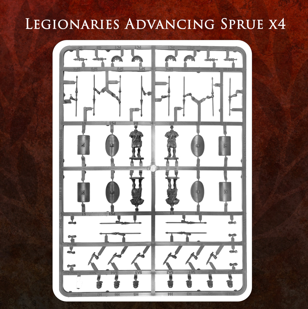 Imperial Rome Warband