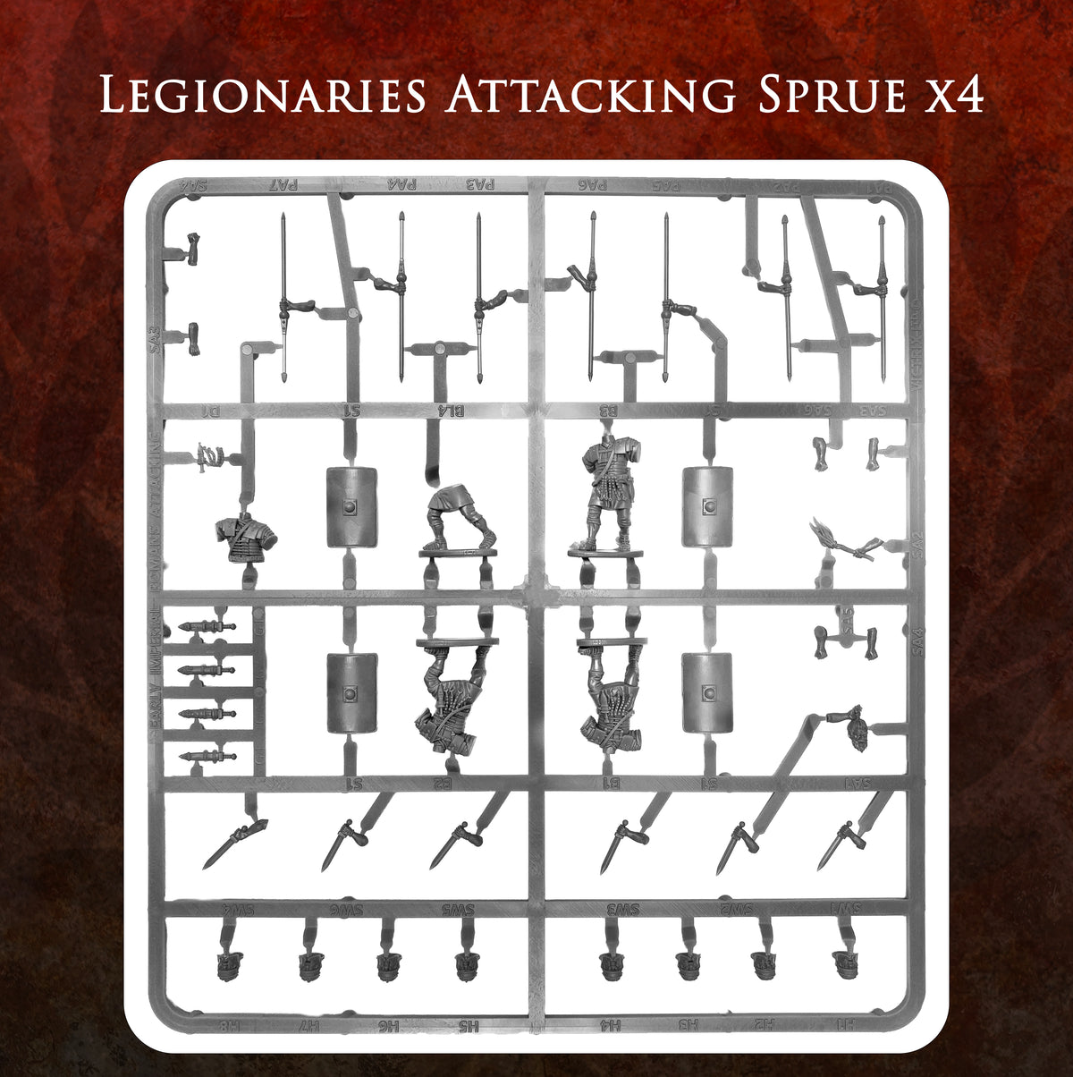 Imperial Rome Warband