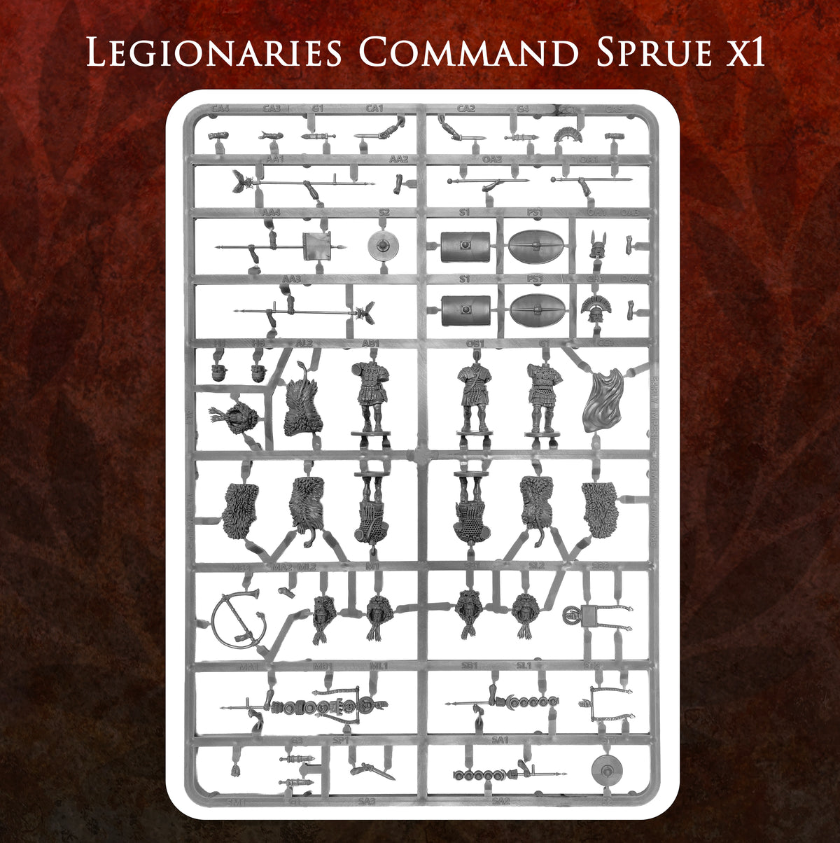 Imperial Rome Warband