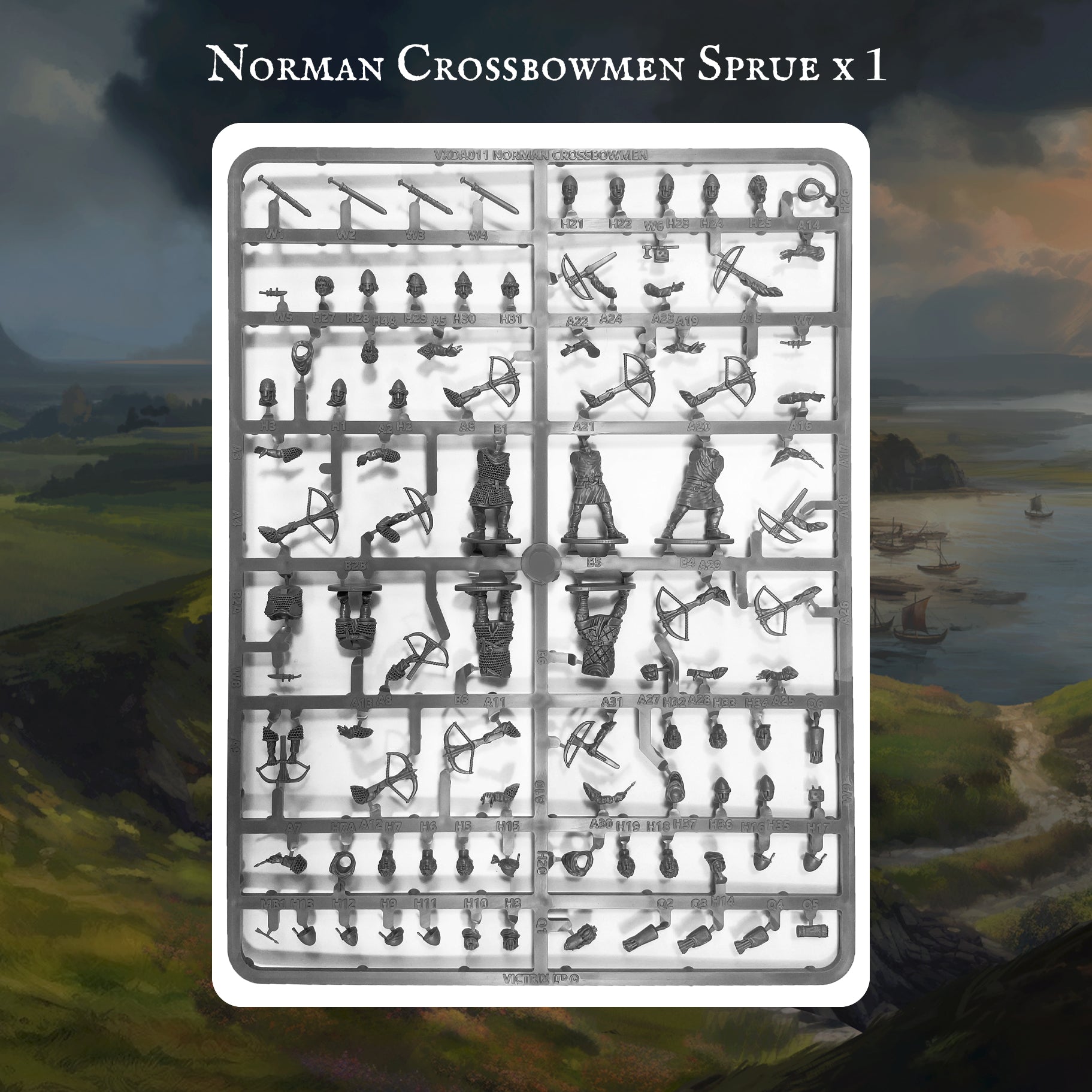 Norman Warband - Victrix Limited
