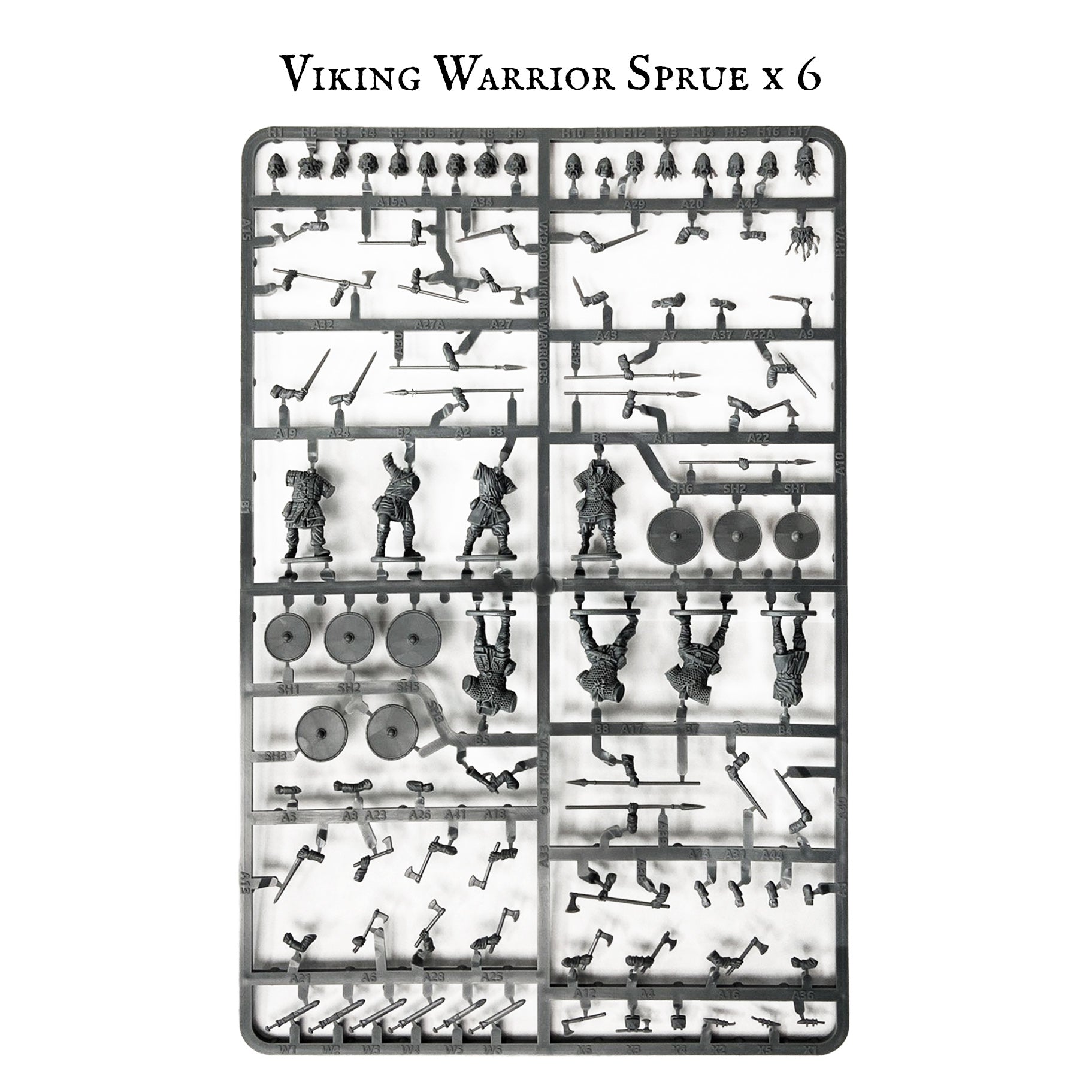 Vikings - Victrix Limited