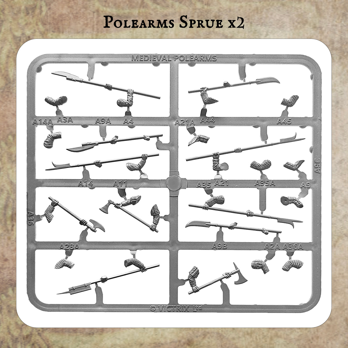 Medieval Warband